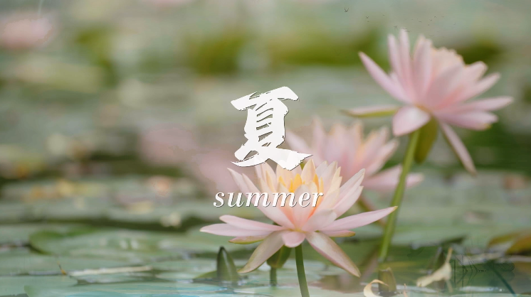 rb88随行版-rb88手机随行版登录入口