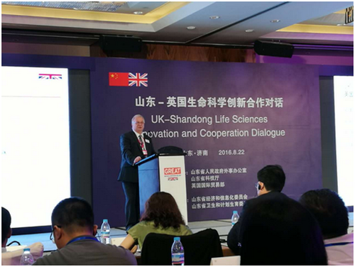 rb88随行版-rb88手机随行版登录入口