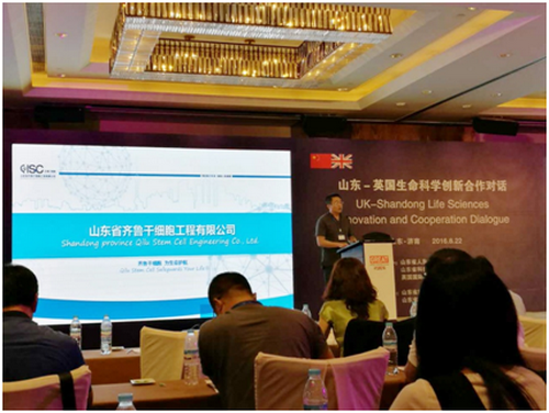 rb88随行版-rb88手机随行版登录入口