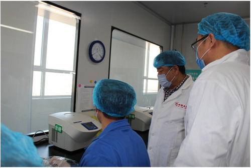 rb88随行版-rb88手机随行版登录入口