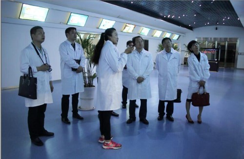 rb88随行版-rb88手机随行版登录入口