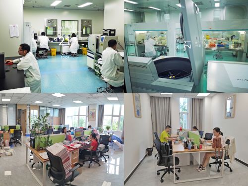 rb88随行版-rb88手机随行版登录入口