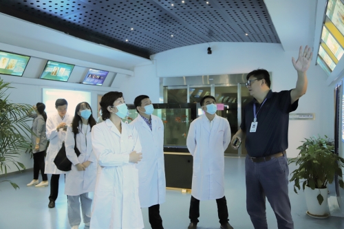 rb88随行版-rb88手机随行版登录入口