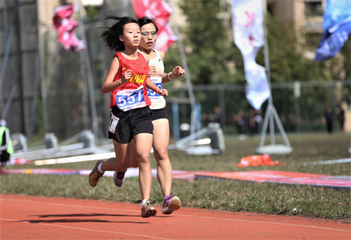 rb88随行版-rb88手机随行版登录入口